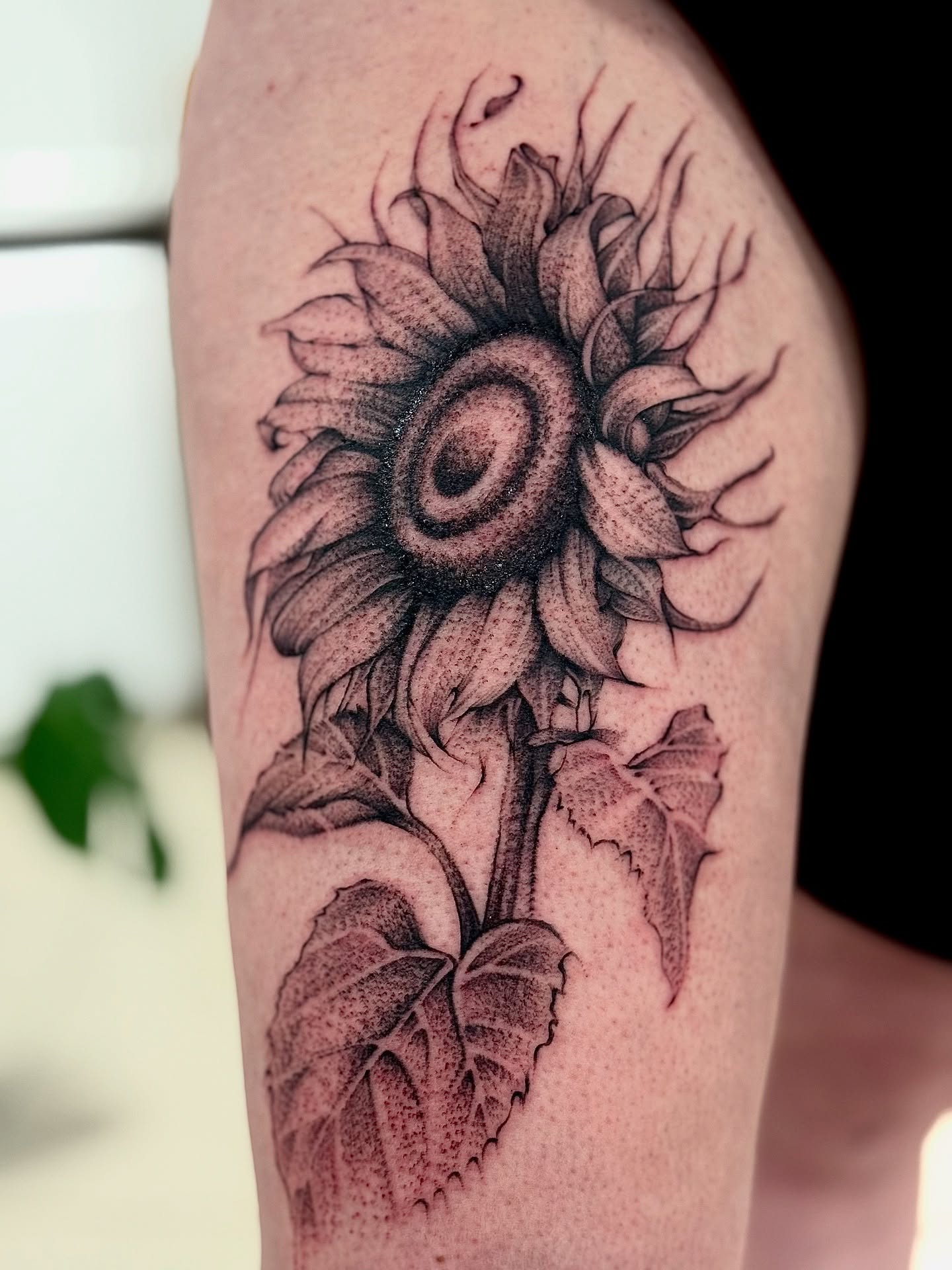 Tatuaż dotwork kwiat